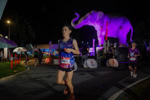 BIB: 
                            <button type="button" onclick="openModal(26552027)" class="btn btn-primary btn-sm float-right btn-popup" data-toggle="modal" data-target=".modal-high-quality">
                        <i class="fas fa-shopping-cart"></i> Add to Cart
                    </button>
                                            <button type="button" onclick="isThisMe(26552027, true)" class="btn btn-success btn-sm float-right btn-popup btn-isme hidden" data-toggle="tooltip" data-placement="bottom" title="นี่คือรูปของคุณใช่ไหม คลิกที่นี่เพื่อเอาเข้าอัลบั้ม">
                        <i class="fas fa-plus"></i> Add to album
                    </button>
                    <button type="button" onclick="isThisMe(26552027, false)" class="btn btn-warning btn-sm float-right btn-popup btn-isnotme hidden">
                        <i class="fas fa-ban"></i> Remove from album
                    </button>